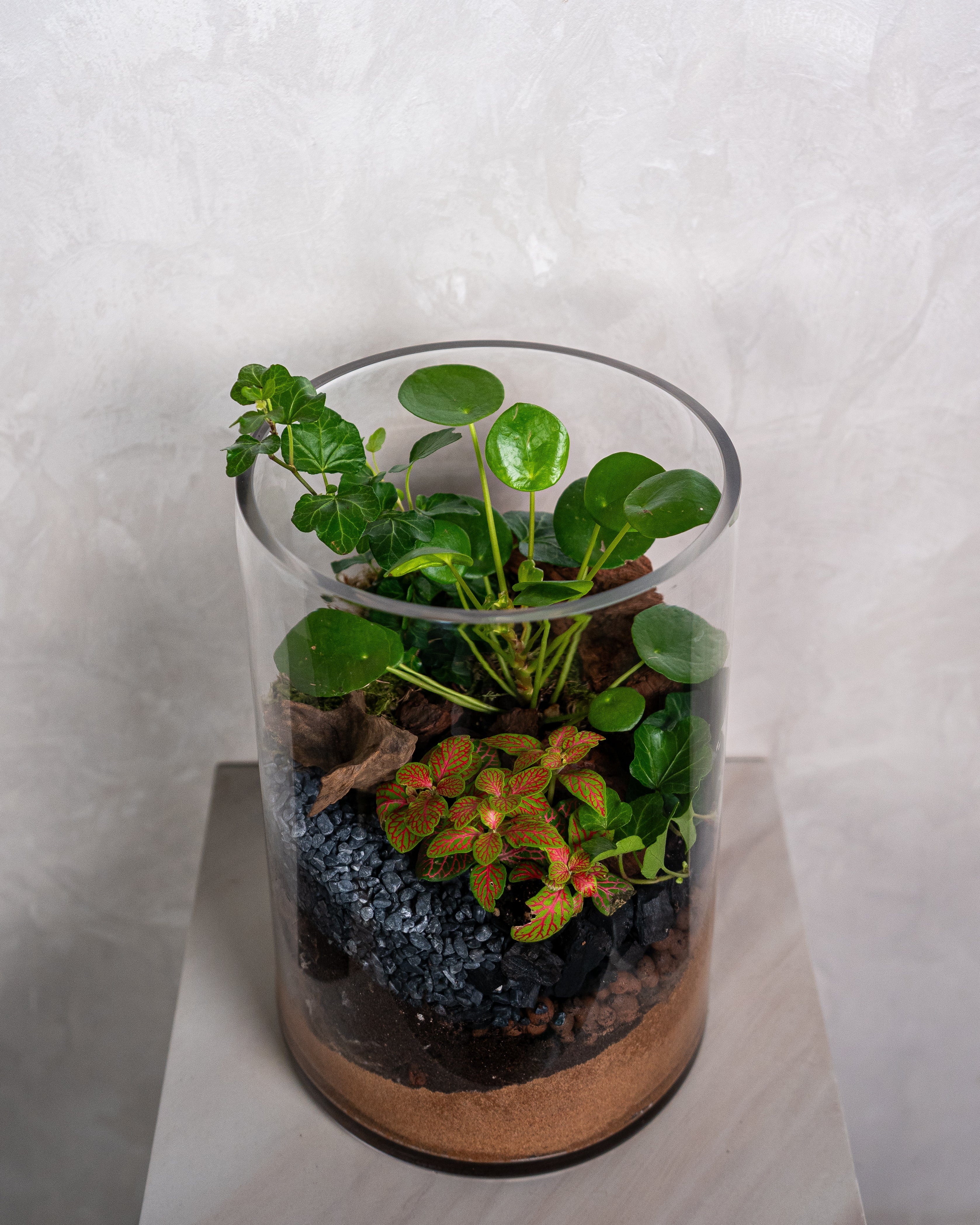 Tall Glass Garden - Uniflora