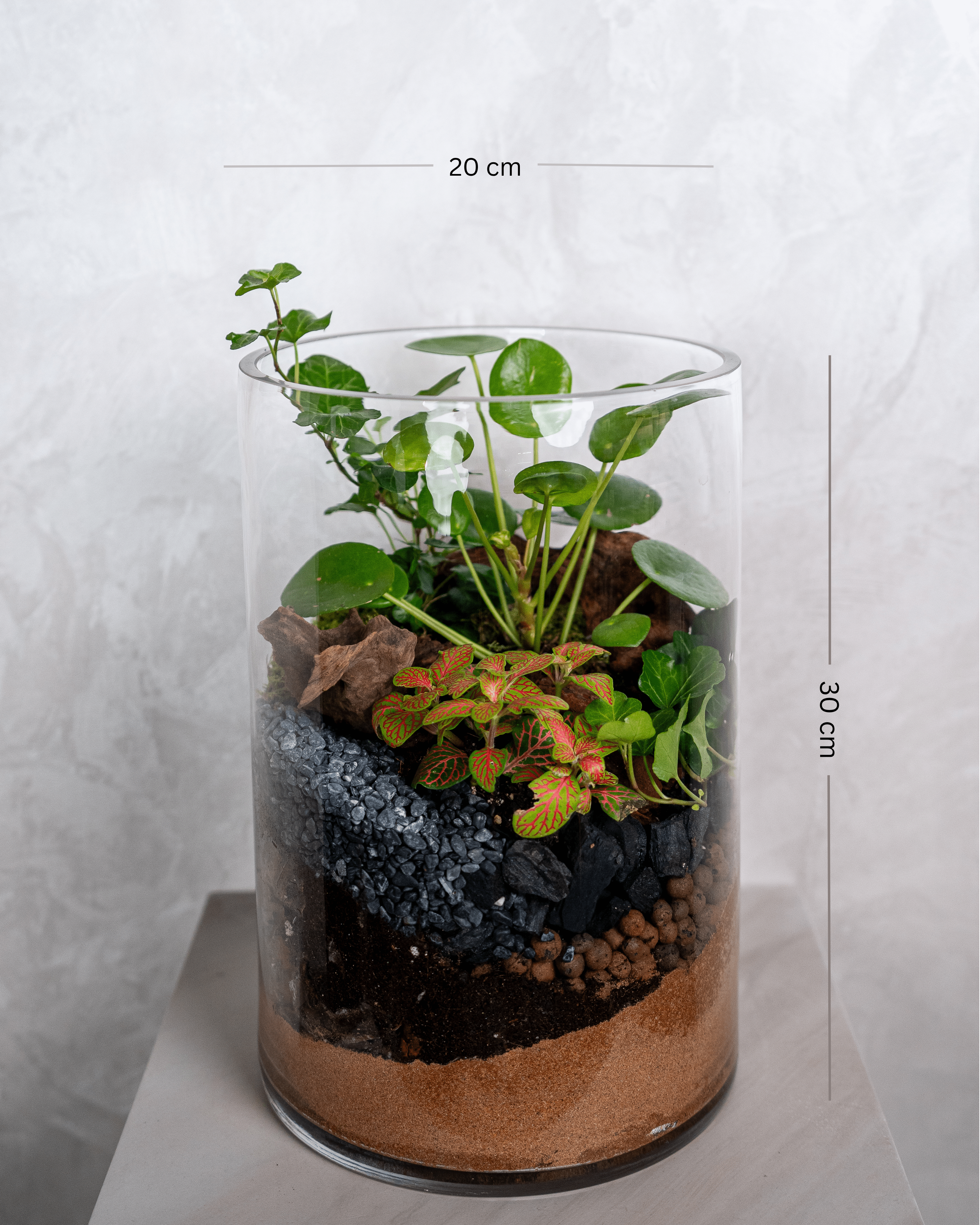 Tall Glass Garden - Uniflora