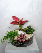 Vibrant Garden - Uniflora