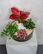 Vibrant Garden - Uniflora
