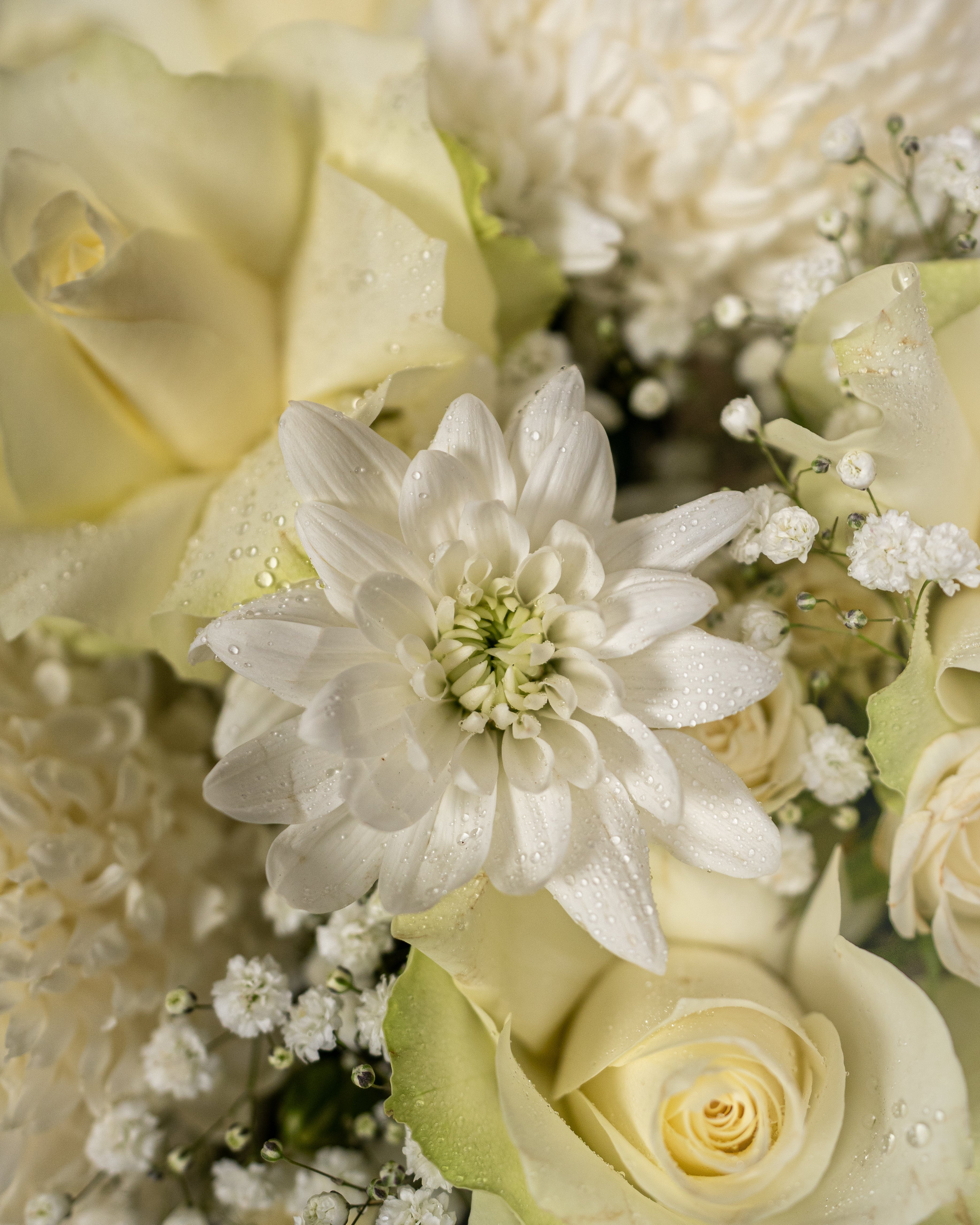 White Bloom Bouquet - Uniflora