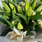 White Lily Bouquet - Uniflora